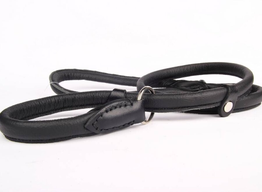 Leather retriever line (double stop)