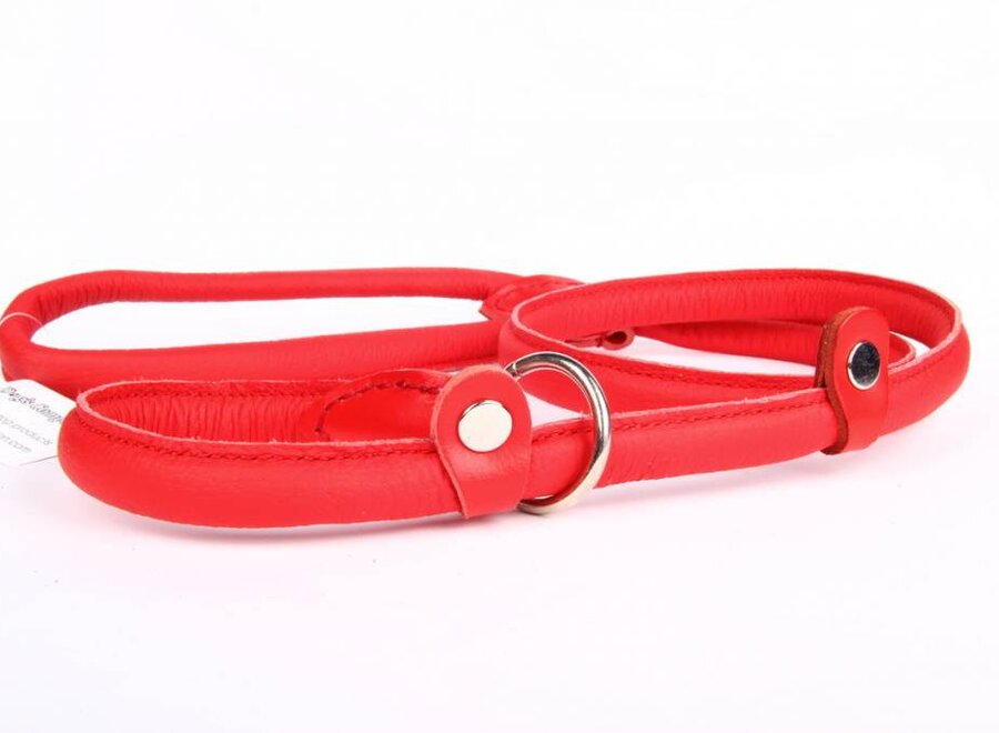 Leather retriever line (double stop)