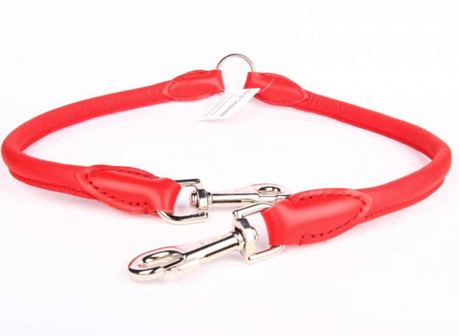 Leather dog coupler leash