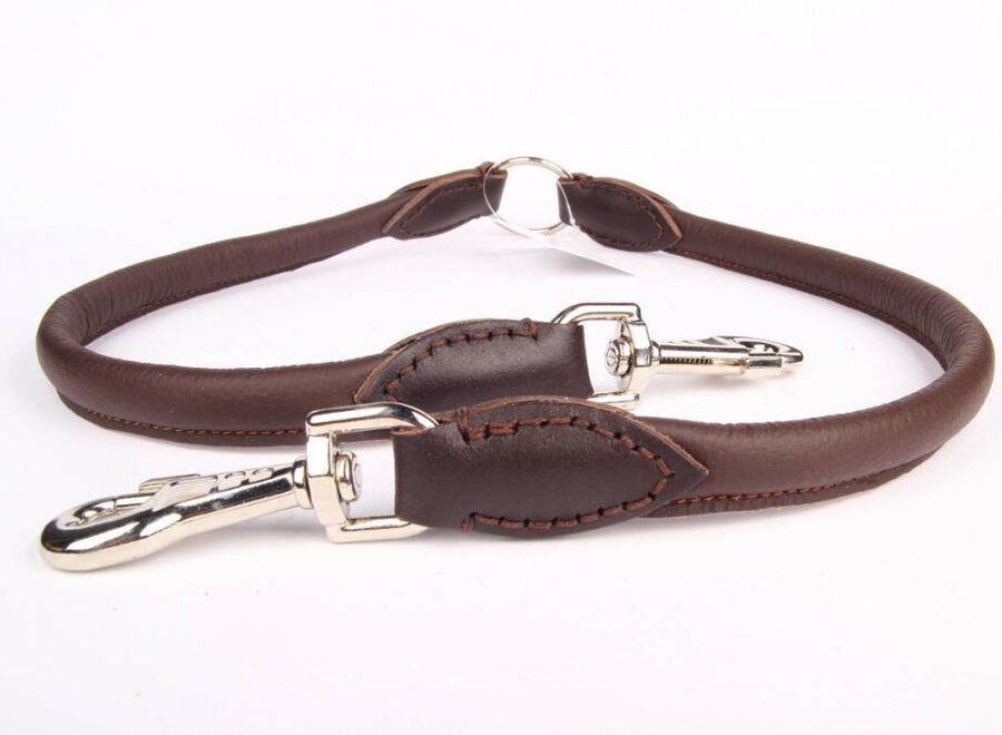 Leather dog coupler leash