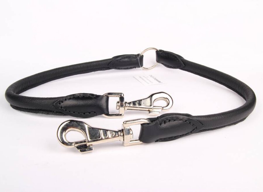 Leather dog coupler leash