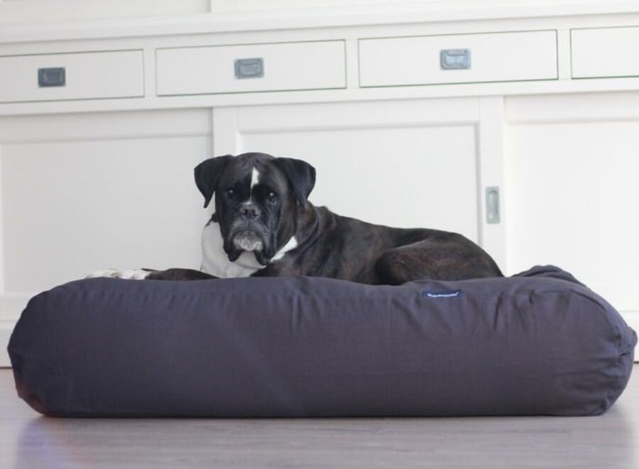 Dog bed anthracite medium