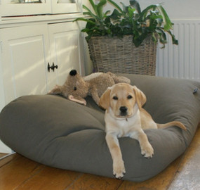 Europe's dog bed specialist