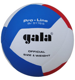 Gala GALA VOLLEYBAL PRO-LINE 5176S