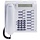 Unify Optipoint 500 Basic Artic