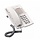Aastra (voorheen Ericsson) Dialog 4220 Lite licht grijs