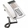 Aastra (voorheen Ericsson) Dialog 4222 Office Licht grijs