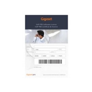 Gigaset pro PBX licenses, extra single user license for T300 and T500