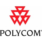 Polycom CX3000 extension microphones