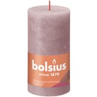 Bolsius kaarsen Rustiek stompkaars 130/68 Ash Rose