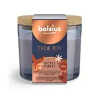 Bolsius kaarsen True Joy gevuld geurglas 66/83 Secret Forest