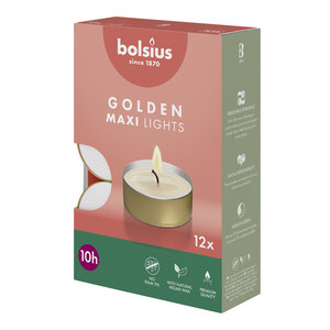 Bolsius kaarsen Maxilichten 10 uur doos 12 stuks  16/38 mm Wit Gouden cup
