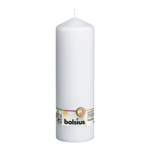 Bolsius kaarsen Stompkaarsen  250/80 mm wit. 22 stuks in 1 koop.