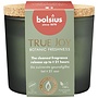 Bolsius kaarsen True Joy gevuld geurglas 66/83 Botanic Freshness