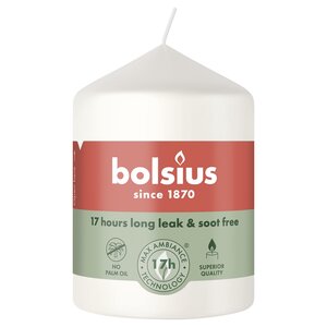 Bolsius kaarsen Kleine stompkaarsen van Bolsius in de kleur Gloudy White