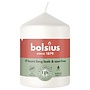 Bolsius kaarsen Stompkaars 80/58 mm Gloudy White