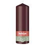 Bolsius kaarsen Stompkaars kleur Velvet Red 200/70 mm