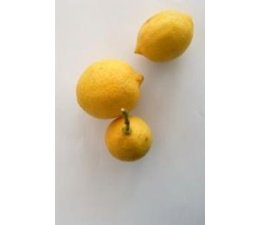 Citron non traité