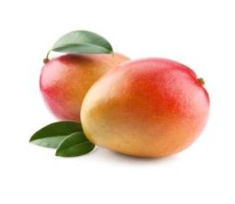 Mangue 1