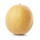 Melon Galia