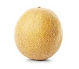 Melon Galia