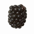 Mûre (ravier 150 gr)