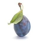 Prune bleue