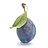 Prune bleue