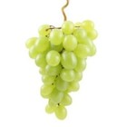 Raisin blanc sans pépin