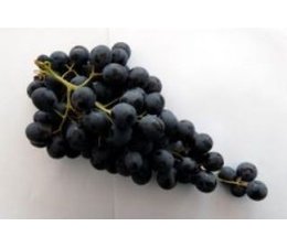 Raisin muscat d'hambourg