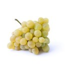 Raisin Chasselas