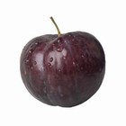 Prune Black Diamond