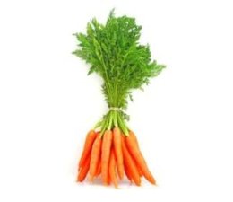 Carotte (en botte)