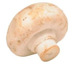 Champignon blond (en vrac)