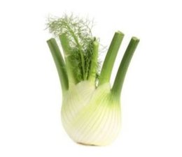 Fenouil