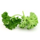 Persil frise (en botte)