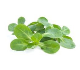 Salade de blé par 100 gr