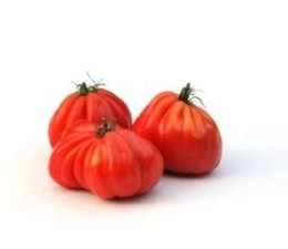 Tomate coeur de boeuf