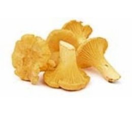 Girolle par 100 gr