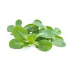 Salade de blé par 200 gr