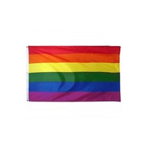 Vlag Regenboog 90 x 150 cm