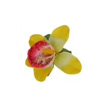 Haarbloem Orchidee Geel