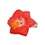 Haarbloem op clip Rood