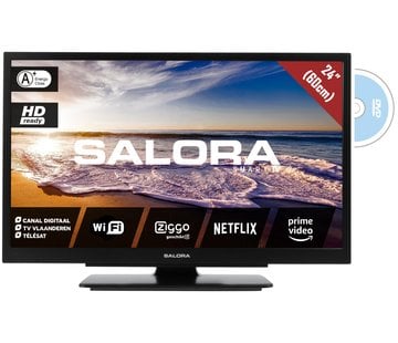 Salora Salora 24" Travel Foxum smart TV CI DVB-S2/C/T2 12/230V SMART/DVD/WIFI