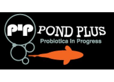 PIP Pond plus