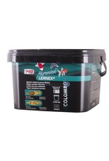 Colombo Morenicol Colombo Morenicol Lernex Pro: The advanced treatment against resistant Skin and Gill flukes for pond fish.