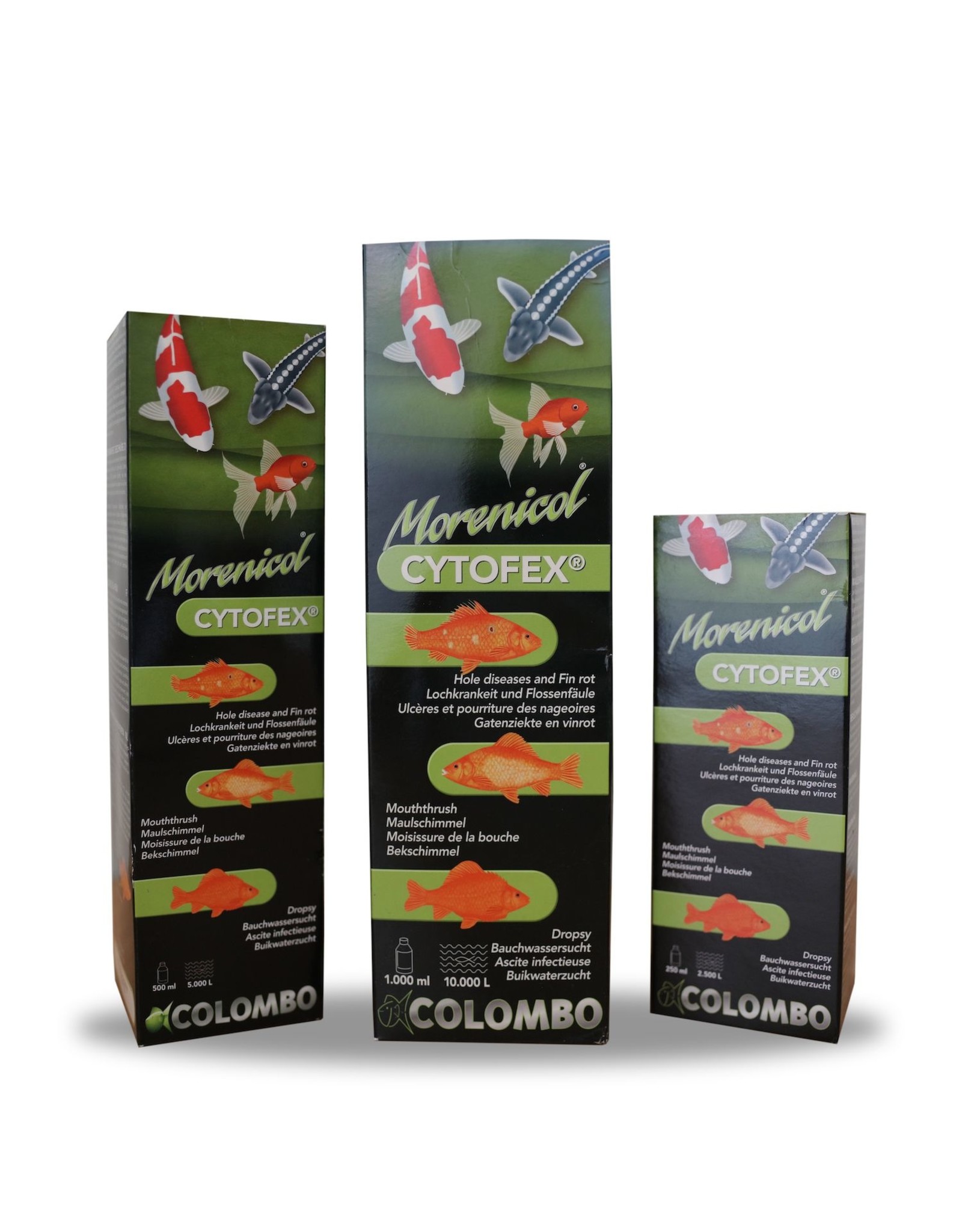 Colombo Morenicol Colombo Morenicol Cytofex ist ein einzigartiges Kräuterprodukt, das gegen bakterielle Infektionen wirksam ist.