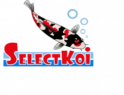 ★ Selectkoi ★ ( Webshop for koi and pond products ).