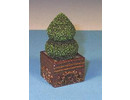 Euromini's EM4906 Buxus