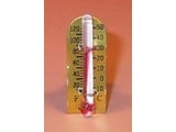 Euromini's Thermometer